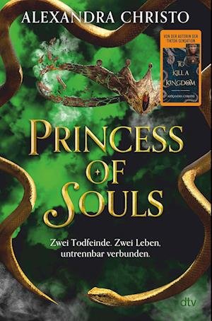 Princess of Souls - Alexandra Christo - Bücher - dtv Verlagsgesellschaft - 9783423741095 - 16. Mai 2024
