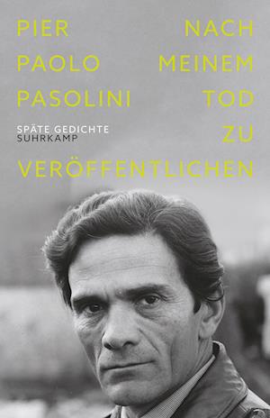 Nach meinem Tod zu veröffentlichen - Pier Paolo Pasolini - Books - Suhrkamp Verlag AG - 9783518430095 - November 21, 2021