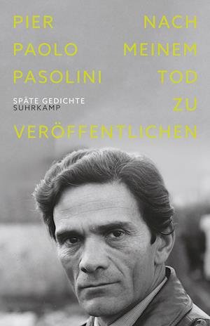 Cover for Pier Paolo Pasolini · Nach meinem Tod zu veröffentlichen (Gebundenes Buch) (2021)