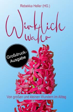 Cover for Heller · Wirklich Wahr (Book)