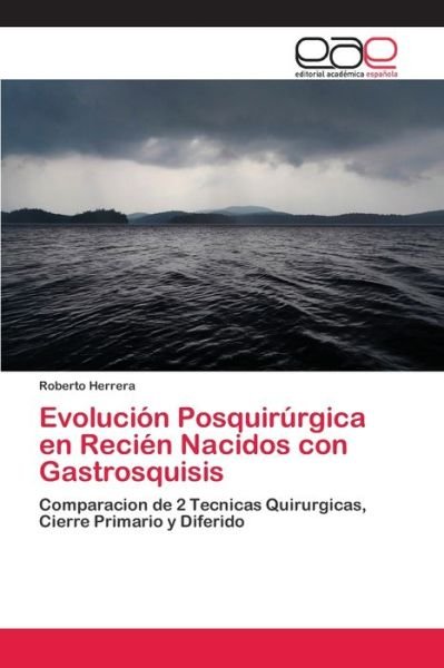 Cover for Herrera · Evolución Posquirúrgica en Reci (Book) (2017)