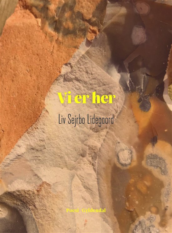Cover for Liv Sejrbo Lidegaard · Vi er her (Sewn Spine Book) [1. Painos] (2018)