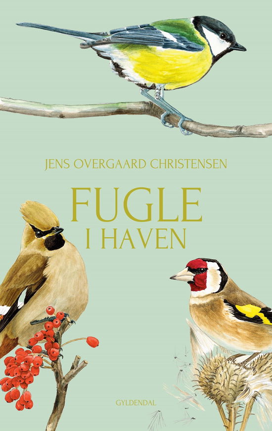 Fugle i haven - Jens Overgaard Christensen - Książki - Gyldendal - 9788702434095 - 2 kwietnia 2025