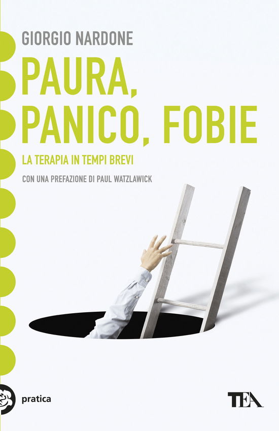 Cover for Giorgio Nardone · Paura, Panico, Fobie. La Terapia In Tempi Brevi (Book)