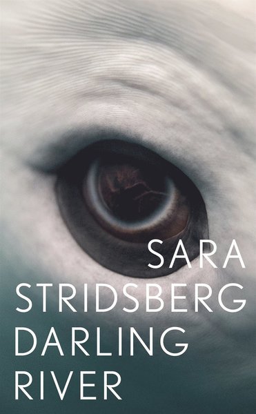 Darling River - Sara Stridsberg - Books - Albert Bonniers Förlag - 9789100129095 - May 10, 2012