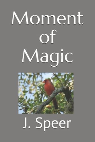 Moment of Magic - J Speer - Książki - Independently Published - 9798722039095 - 17 lutego 2020