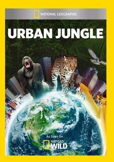 Cover for Urban Jungle (DVD) (2014)