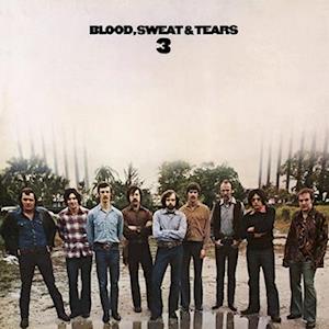 blood sweat and tears vinyl