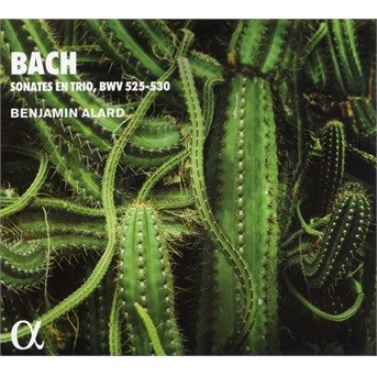 Cover for Benjamin Alard · Bach: Sonates En Trio. Bwv 525-530 (CD) (2021)