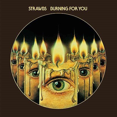 Cover for Strawbs · Burning For You (CD) [Japan Import edition] (2020)