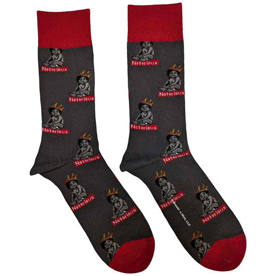 Cover for Biggie Smalls · Biggie Smalls Unisex Ankle Socks: Notorious Baby (UK Size 7 - 11) (TØJ) [size M]