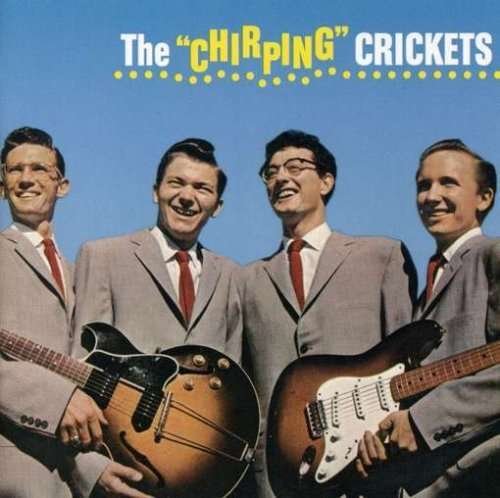 Cover for Crickets · Chriping Crickets (LP) [180 gram edition] (2009)
