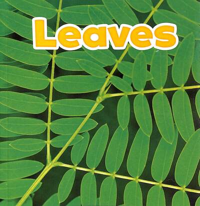 Cover for Kirkman, Marissa (Product Manager) · Leaves - Plant Parts (Paperback Book) (2020)
