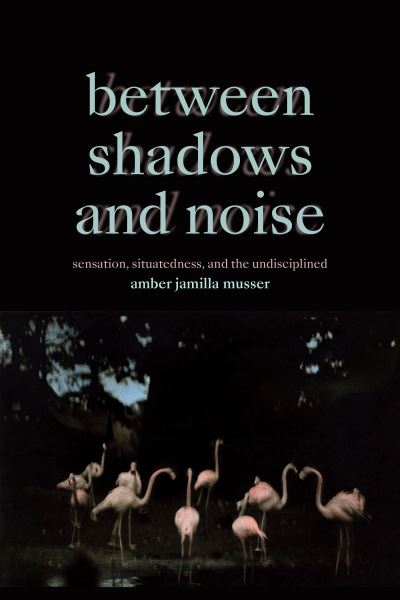 Cover for Amber Jamilla Musser · Between Shadows and Noise: Sensation, Situatedness, and the Undisciplined (Paperback Book) (2024)