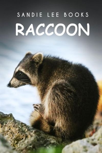 Cover for Sandie Lee Books · Raccoon - Sandie Lee Books (Taschenbuch) (2014)