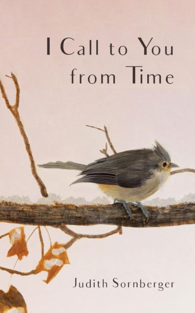 Cover for Judith Sornberger · I Call to You from Time (Paperback Book) (2019)