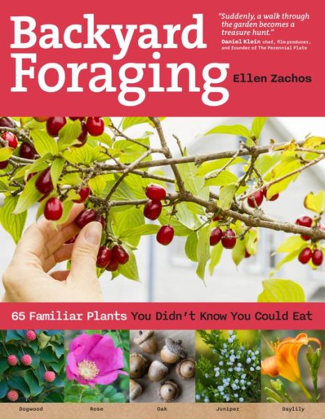 Cover for Ellen Zachos · Backyard Foraging: 65 Familiar Plants You Didn’t Know You Could Eat (Taschenbuch) (2013)