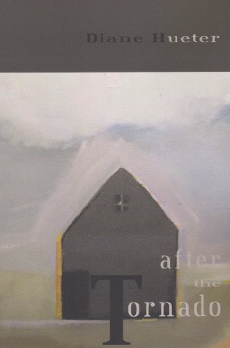 Cover for Diane Hueter · After the Tornado (Paperback Book) (2013)