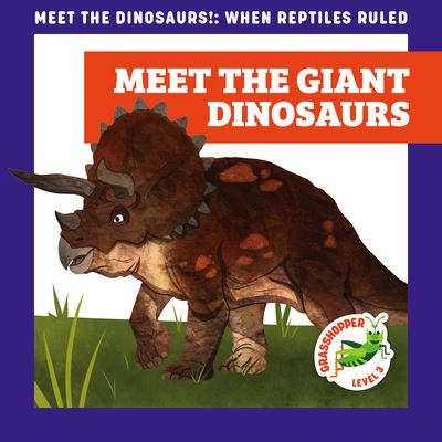 Cover for Rebecca Donnelly · Meet the Giant Dinosaurs (Paperback Book) (2022)