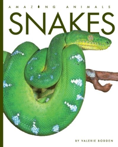 Cover for Valerie Bodden · Snakes (Hardcover bog) (2020)