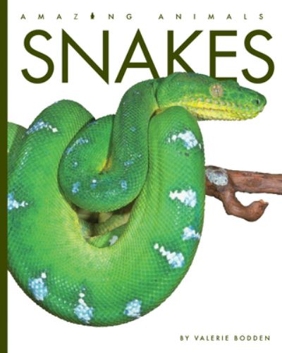 Cover for Valerie Bodden · Snakes (Hardcover Book) (2020)