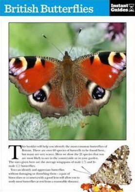 Cover for Instant Guides · British Butterflies: The Instant Guide - Instant Guides (Paperback Book) [UK edition] (2011)