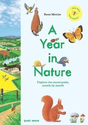 Cover for Rene Mettler · A Year in Nature: Explore the Countryside, Month by Month (Hardcover Book) (2025)