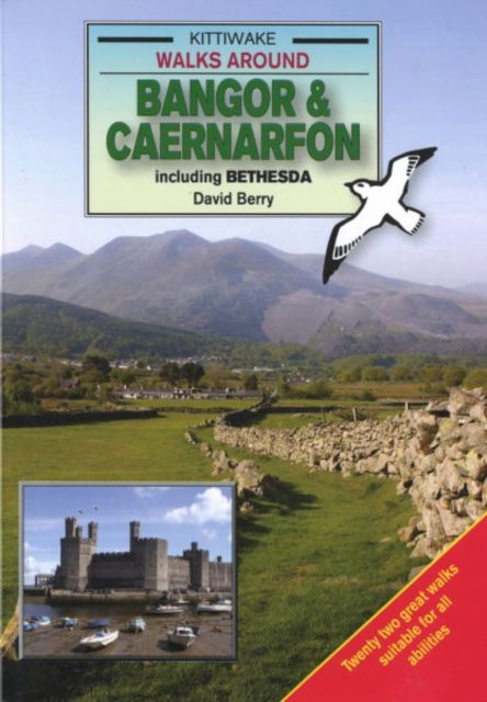 Cover for David Berry · Walks Around Bangor and Caernarfon (Paperback Book) (2013)