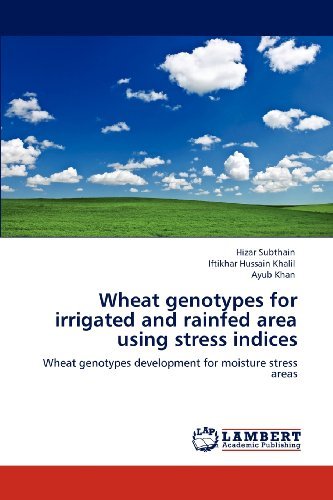 Cover for Ayub Khan · Wheat Genotypes for Irrigated and Rainfed Area Using Stress Indices: Wheat Genotypes Development for Moisture Stress Areas (Pocketbok) (2012)