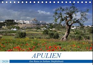 Apulien - Eine Reise zu Italiens S - Manz - Kirjat -  - 9783670902096 - 