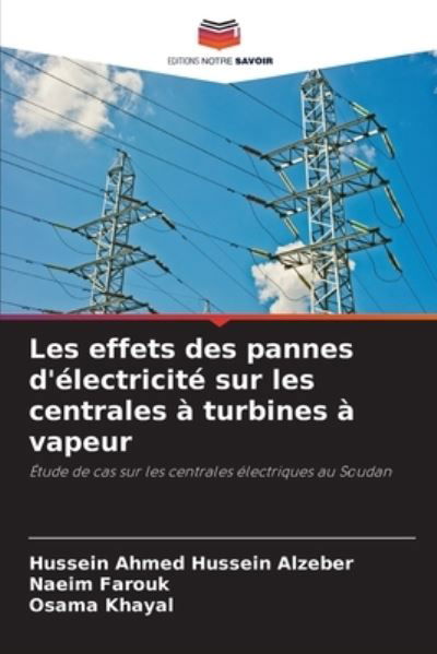 Cover for Alzeber · Les effets des pannes d'électri (Bok) (2020)