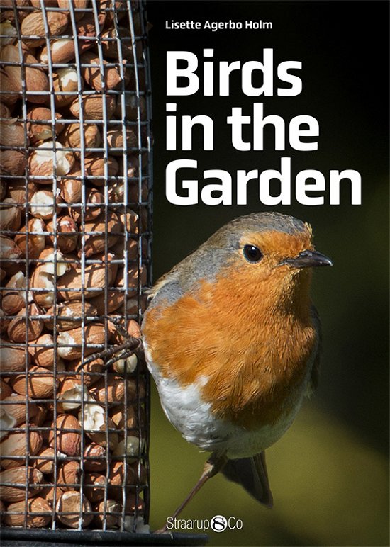 Cover for Lisette Agerbo Holm · Midi English: Birds in the Garden (Inbunden Bok) [1:a utgåva] (2018)