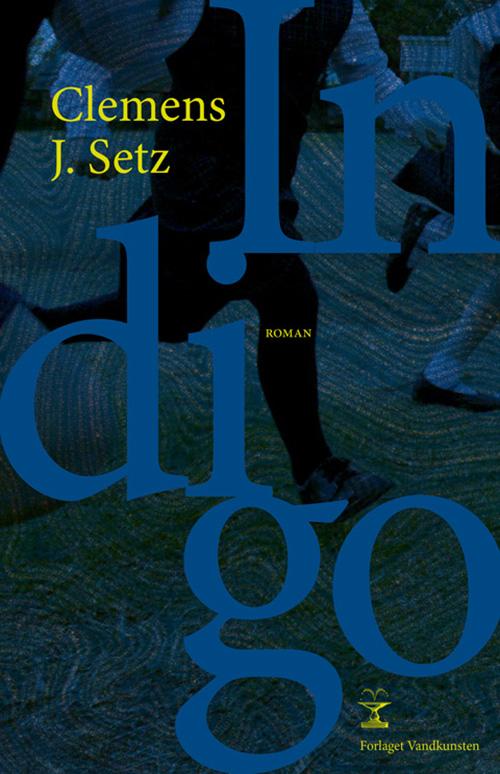 Cover for Clemens J. Setz · Indigo (Bound Book) [1st edition] (2015)