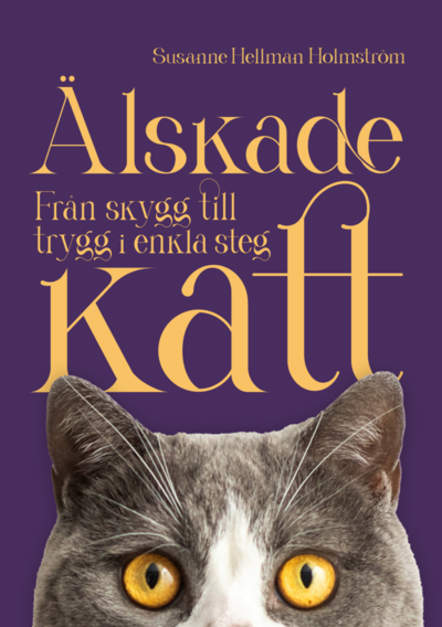 Älskade katt : Från skygg till trygg i enkla steg - Susanne Hellman Holmström - Books - Mondial - 9789180025096 - October 25, 2024