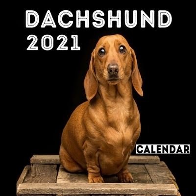 Cover for Dachshund Lovers Planner · Dachshund 2021 Calendar (Paperback Book) (2021)