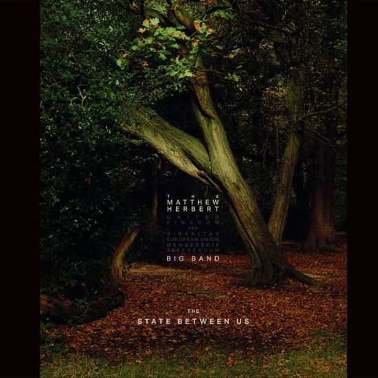 Cover for Matthew Herbert · The State Between Us (CD) (2019)