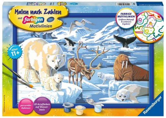 Cover for Ravensburger · Malen n.Zahlen,Tiere der Arktis.28909 (Legetøj) (2019)