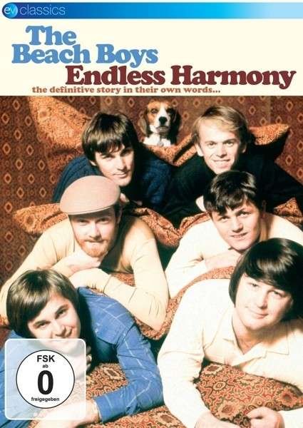 Cover for The Beach Boys - Endless Harmo (DVD) (2024)