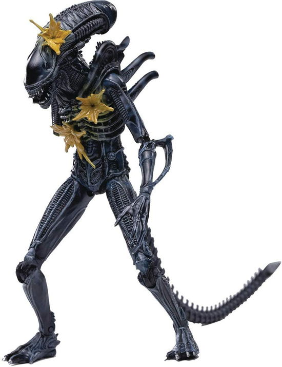 Aliens Battle Damage Alien Warrior Px 1/18 Scale F - Hiya Toys - Merchandise -  - 6957534201097 - August 25, 2021