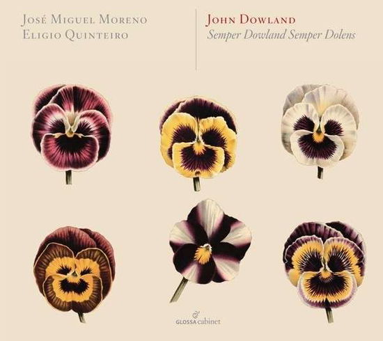 Cover for John Dowland · Semper Dowland Semper Dolens (CD) (2013)