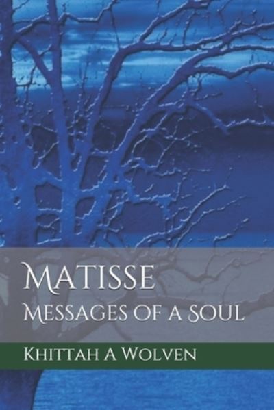 Cover for Ally Brody · Matisse: Messages of a Soul - Messages (Paperback Book) (2020)