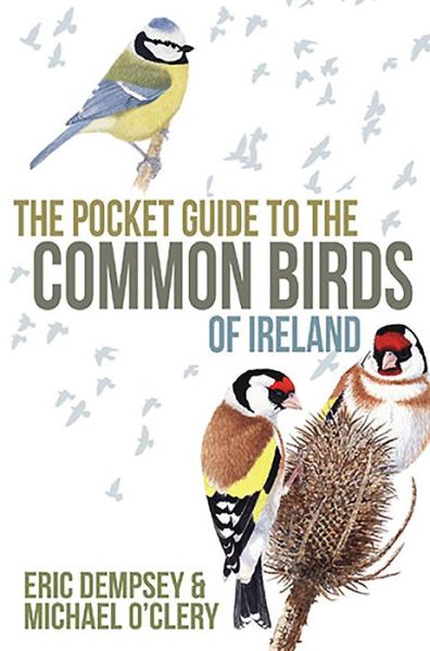 Cover for Eric Dempsey · The Pocket Guide to the Common Birds of Ireland (Paperback Book) (2012)