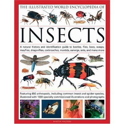 Cover for Martin Walters · The Illustrated World Encyclopaedia of Insects: A Natural History and Identification Guide to Beetles, Flies, Bees Wasps, Springtails, Mayflies, Stoneflies, Dragonflies, Damselflies, Cockroaches, Mantids, Earwigs ... and Many More (Hardcover Book) (2010)