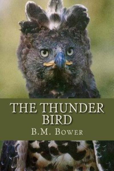 The Thunder Bird - B M Bower - Livros - Createspace Independent Publishing Platf - 9781537264097 - 23 de agosto de 2016