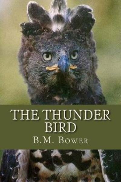 Cover for B M Bower · The Thunder Bird (Paperback Bog) (2016)