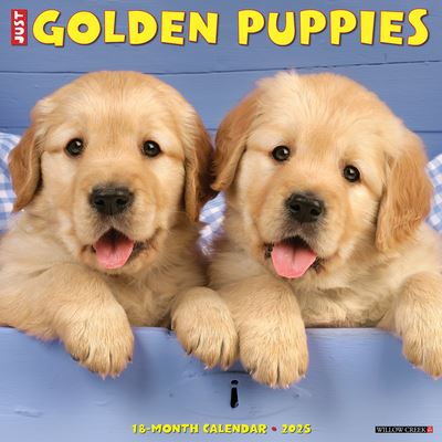 Just Golden Puppies 2025 12 X 12 Wall Calendar - Willow Creek Press - Merchandise - Willow Creek Press Calendars - 9781549243097 - September 10, 2024