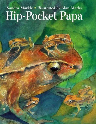 Hip-Pocket Papa - Sandra Markle - Książki - Charlesbridge Publishing,U.S. - 9781570917097 - 24 września 2019