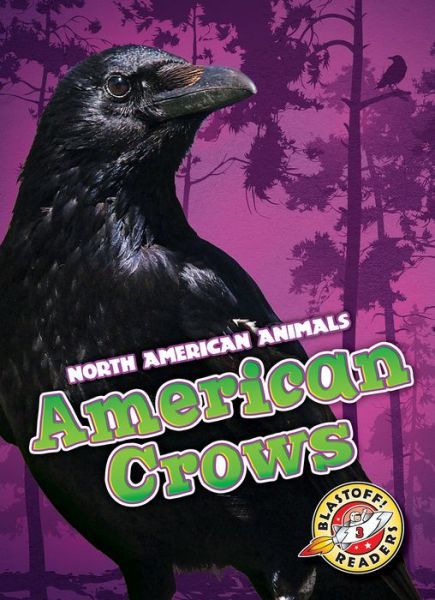 Cover for Rebecca Sabelko · American Crows (Hardcover Book) (2019)