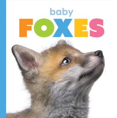 Baby Foxes - Kate Riggs - Books - Creative Company, The - 9781628328097 - February 18, 2020