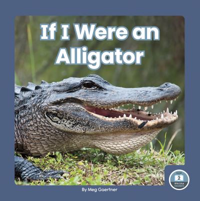 Cover for Meg Gaertner · If I Were an Alligator - If I Were an Animal (Hardcover Book) (2021)